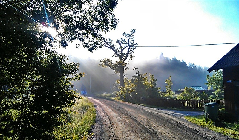 Trevliga grusv&auml;gar i omr&aring;det