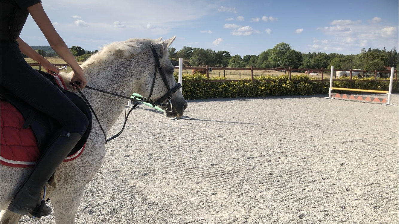 Mumsan hoppar p&aring; volten