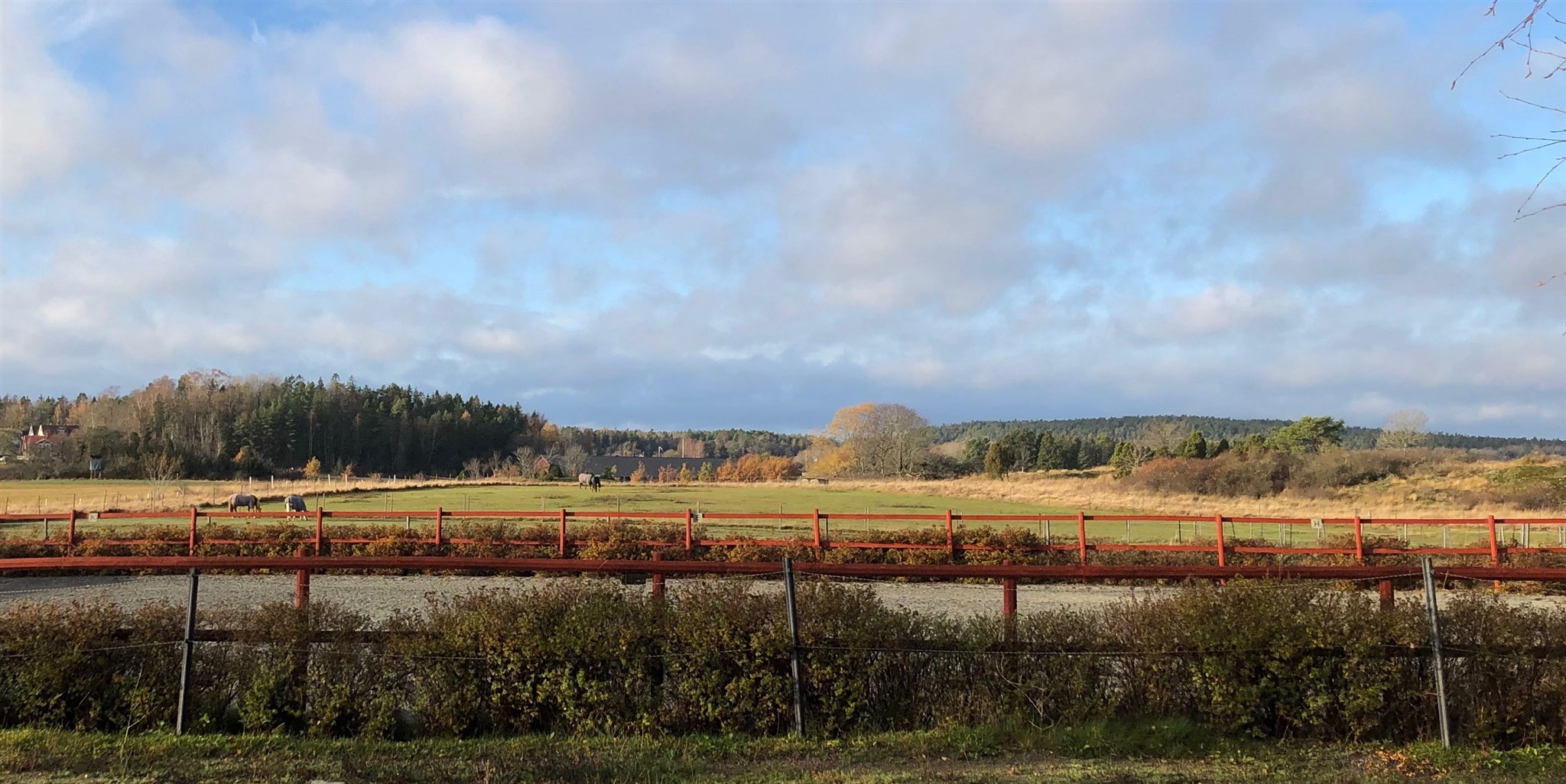 Vinterhagar p&aring; h&ouml;sten