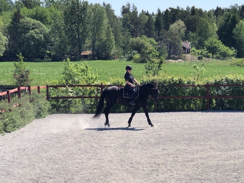 Asti p&aring; volten