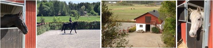 Triptyk med miljöbilder