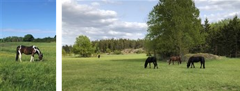 Triptyk med miljöbilder